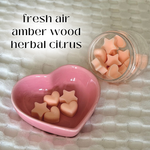 Head In The Clouds Wax Melts