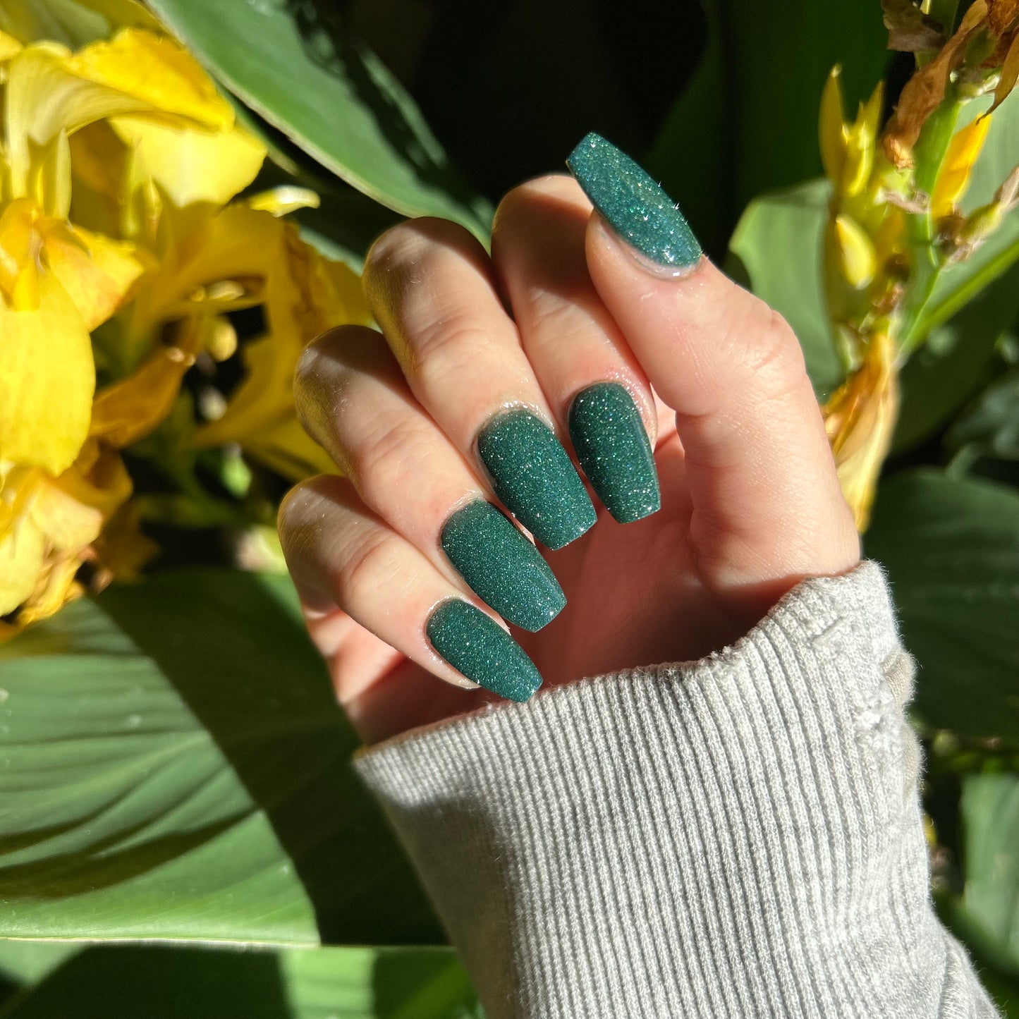 Velvet Woods