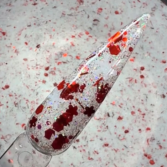 Christmas Snow Globe