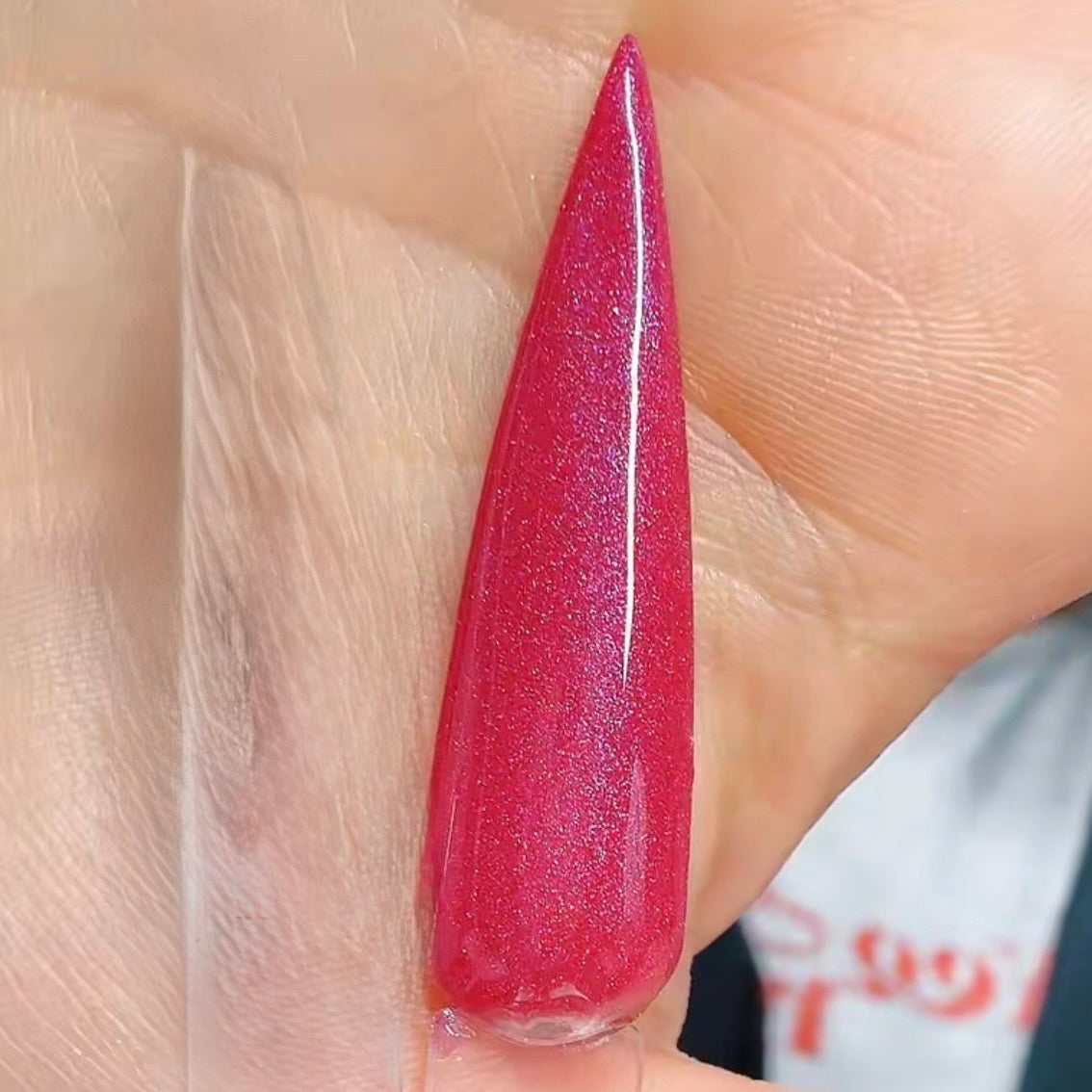 Santa's Favorite Cookie