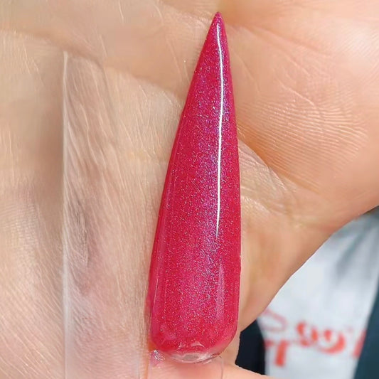 Santa's Favorite Cookie