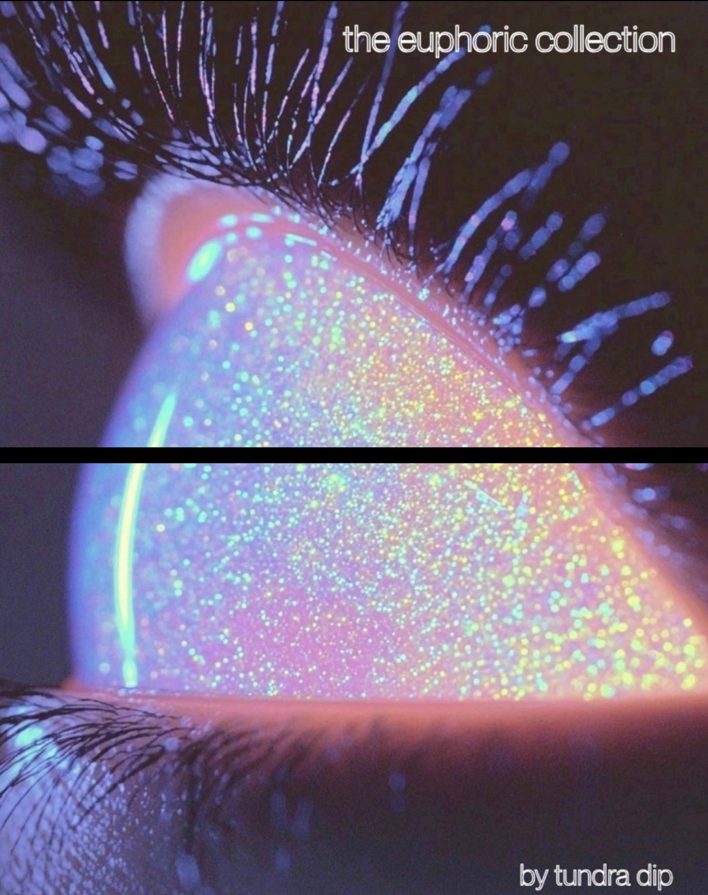 Euphoric Exclusive Box Set