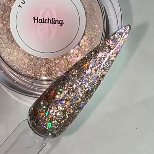 Hatchling