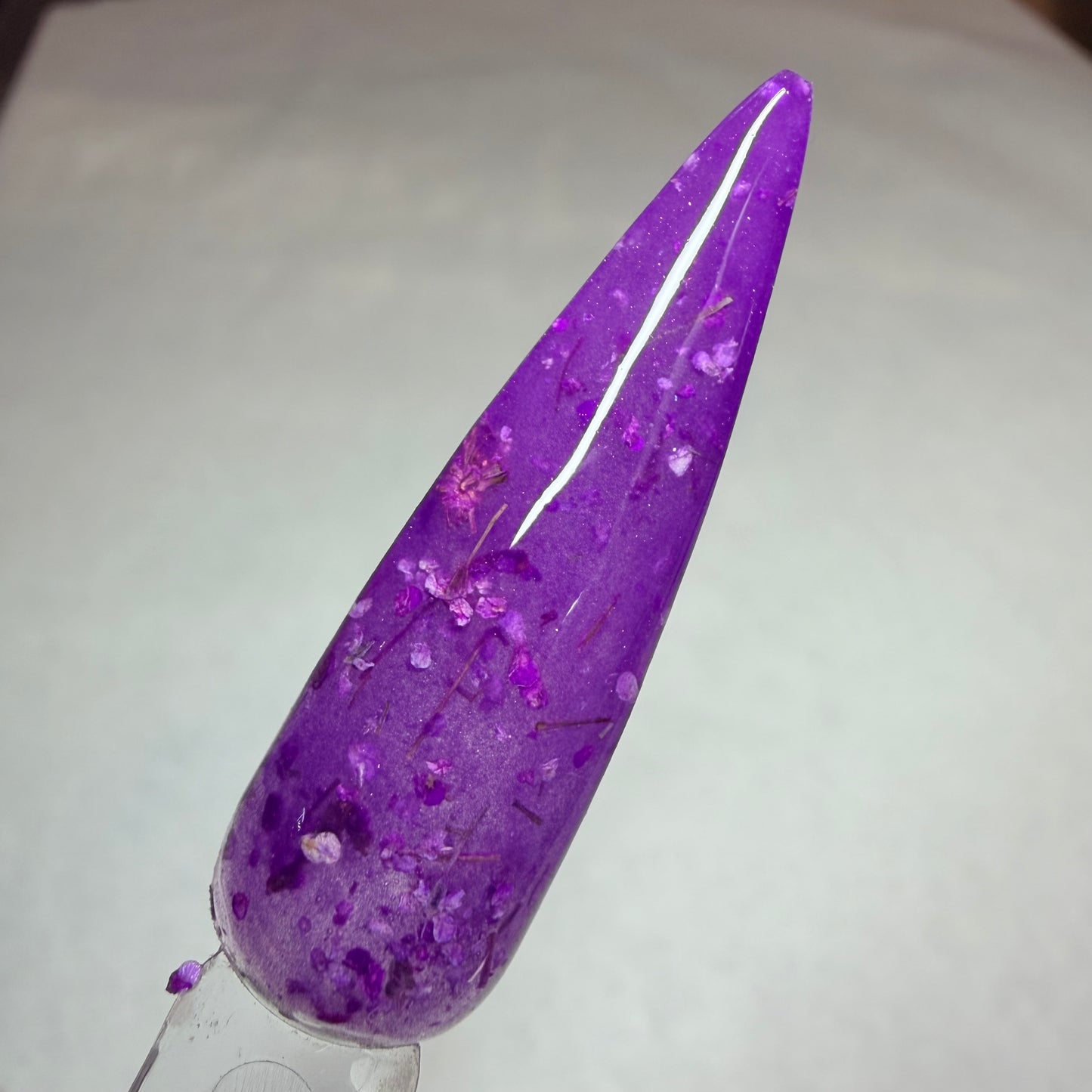 Poppin Purple Petals